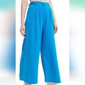 Wide Leg Blue Dress Pants